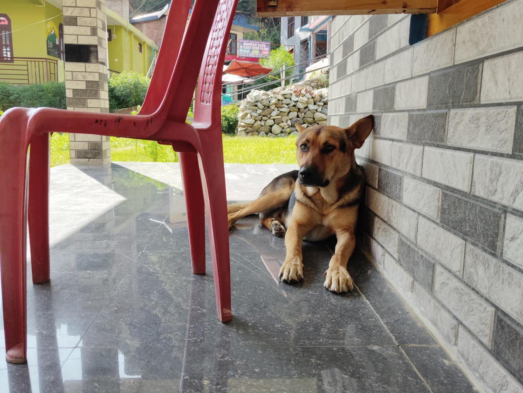 卡索尔 Dog N Hill酒店 外观 照片