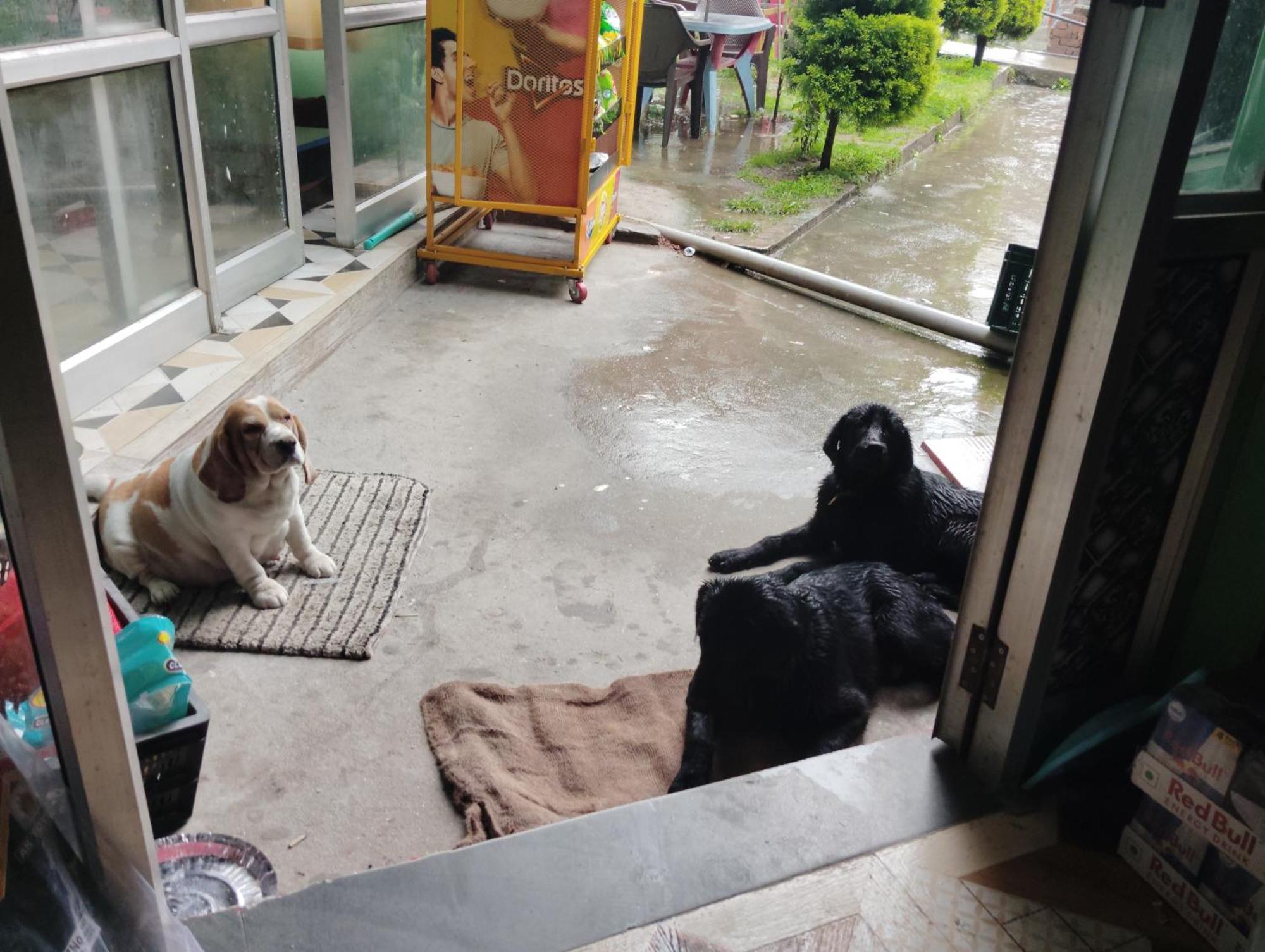 卡索尔 Dog N Hill酒店 外观 照片